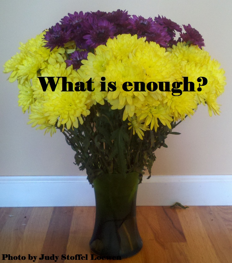 Daily Bliss #70 What is enough?