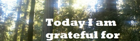 Grateful for YOU