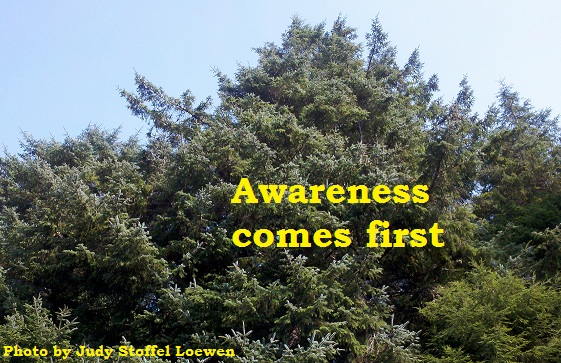 Awareness comes first