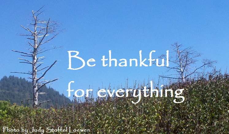 Be thankful for everything