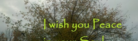 Peace in your soul