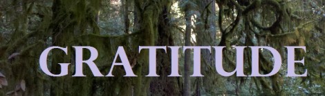 GRATITUDE