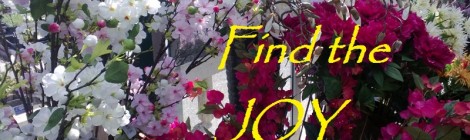 Daily Bliss #20130411