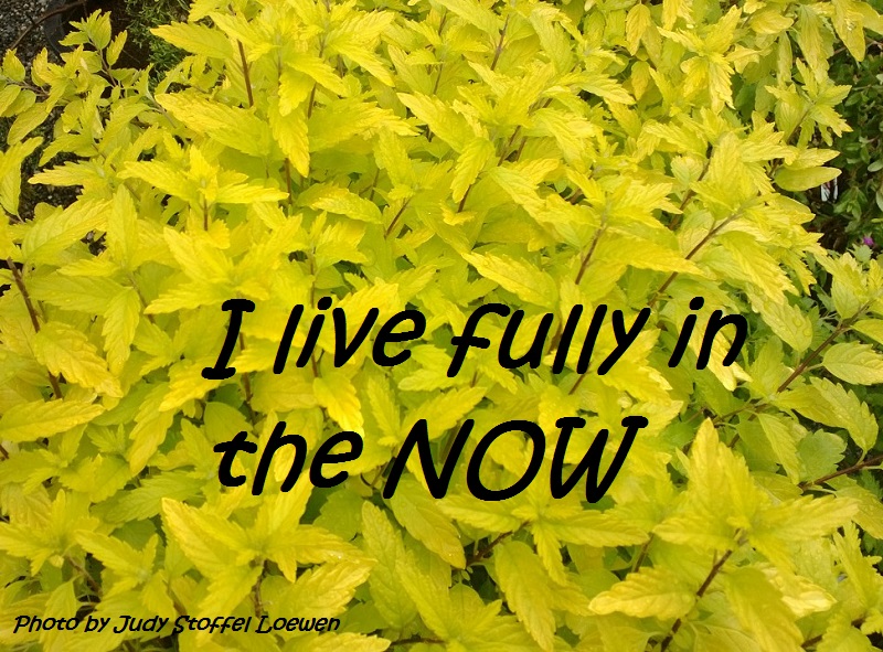Daily Bliss #20130601