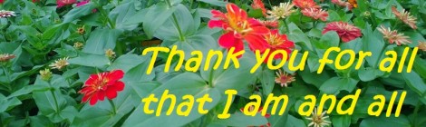 Daily Bliss #20130720