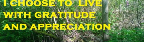 Daily Bliss #20130827