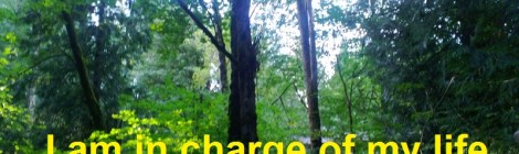 Daily Bliss #20131113