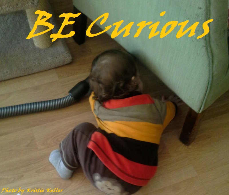 Daily Bliss #20140125