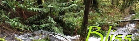 Daily Bliss #20140421