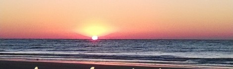 Daily Bliss #20140508