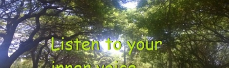 Daily Bliss #20141112