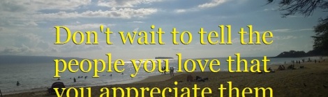 Daily Bliss #20141122