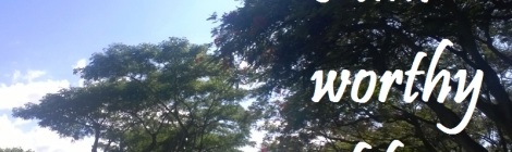 Daily Bliss #20141220