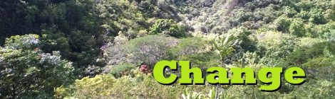 Daily Bliss #20150114