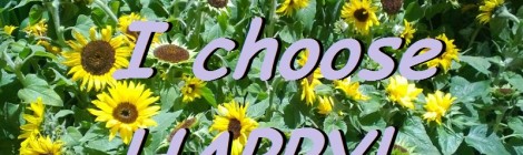 Daily Bliss #20150212