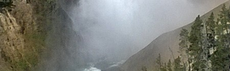 Daily Bliss #20150823