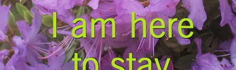 I am here to stay