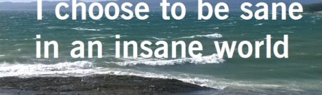 I choose to be sane in an insane world