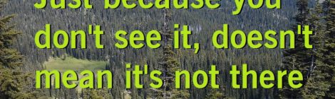 Just because you can't see it, doesn't mean it's not there
