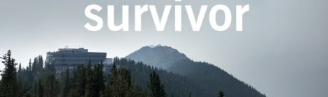 You are a survivor