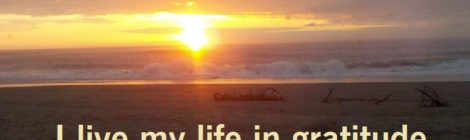 I live my life in gratitude