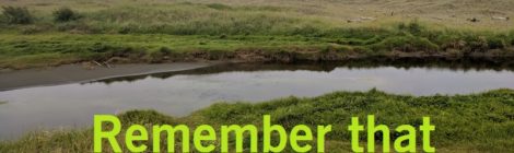 Remember that I believe in you