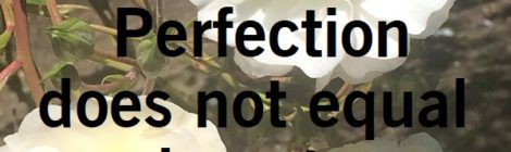 Perfection does not equal beauty