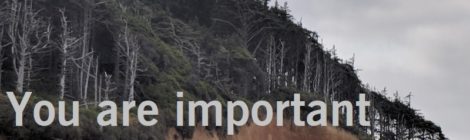 You are important