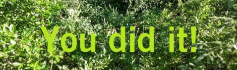 You did it!