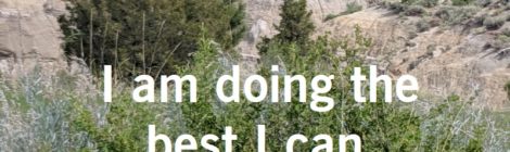 I am doing the best I can