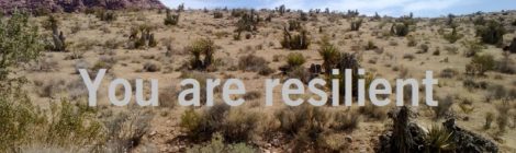 You are resilient