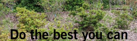 Do the best you can, it is enough