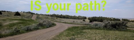 What if searching for your path IS your path?