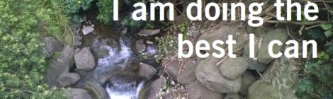 I am doing the best I can