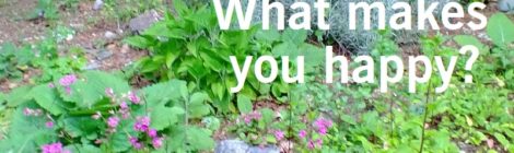 What makes you happy?