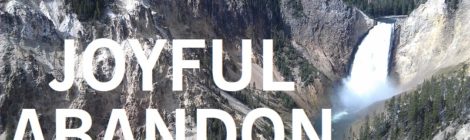 JOYFUL ABANDON