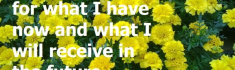I am grateful