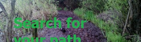 Search for your path