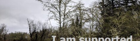 I am supported by the Universe