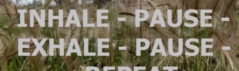 INHALE - PAUSE - EXHALE - PAUSE - REPEAT