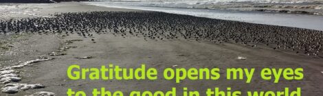GRATITUDE