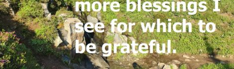 Gratitude