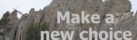 Make a new choice