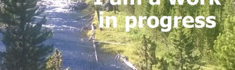 I am a work in progress