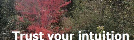 Trust your intuition