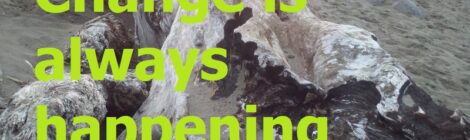 Change is always happening