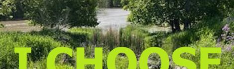 I CHOOSE