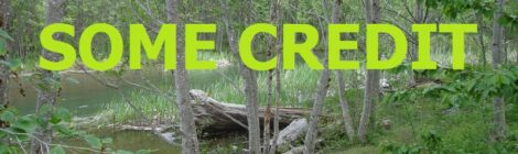 GIVE YOURSELF SOME CREDIT