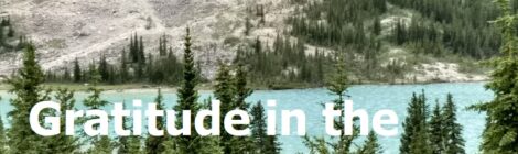 Gratitude