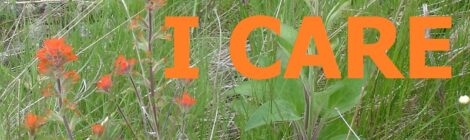 I CARE